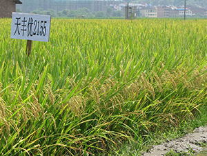 �샞(y��u)2155-ˮ���N��-�����N�I(y��)