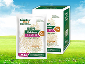 20���{(l��n)��ʿ�Ǵ��}-����