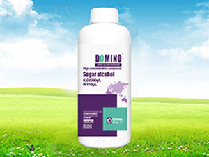 �ۺ��-�����Z-����