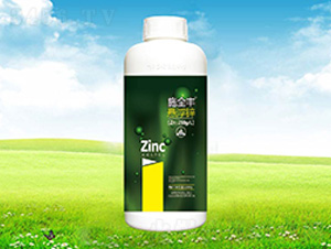 ʩȫ�S�Ҹ��\-����