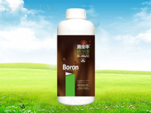 ʩȫ�S�Ҹ���-����