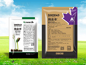 ʩȫ�S�w����-����