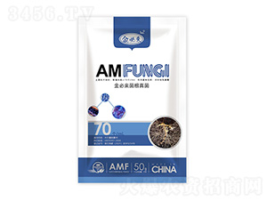 �������-��؁�����