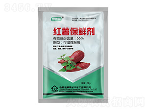 �t�����r��-�G����-�L�S����