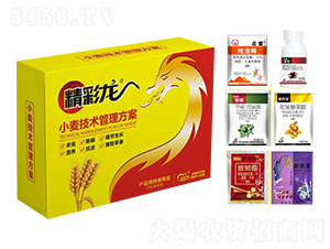 С�����g(sh��)��������-������-����r(n��ng)�I(y��)