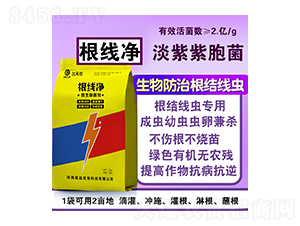 ������΢�������-��Ʒ����