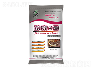 �ⶾ��������-����5̖-�_�S