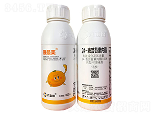 24-���|̦�؃�(n��i)��-������