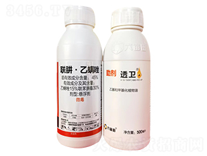 45%(li��n)�¡�������Ҹ���+�һ��ͼ׻���ֲ����-͸�l(w��i)-������