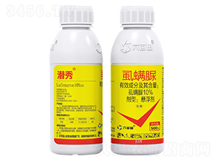 10%ʭ�\��Ҹ���-����-������