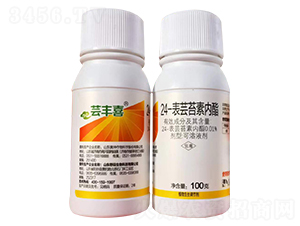 24-���|̦�؃�(n��i)��-�|�Sϲ-������