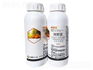 450��/�����r��ˮ�鄩-�r�혷-������