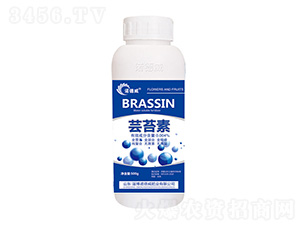 �|̦��-�Z����