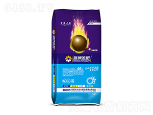 ���׷��-��������