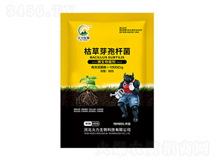 �ݲ�ѿ�ߗU��-��������