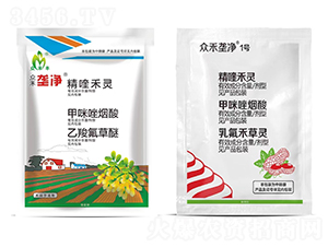 ���������ײ�-�����S�Ń�-�������r