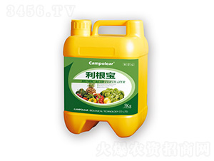 ������-��������