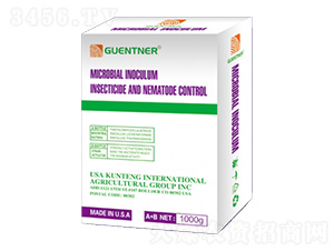 ���v��(xi��n)�x-���v�r(n��ng)�I(y��)