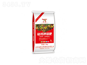 ���}��V��-���v�r(n��ng)�I(y��)