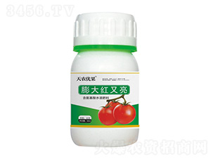 ���t�����t����-���r(n��ng)��(y��u)��-���r(n��ng)����