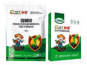 50%����~-�~��-������r(n��ng)