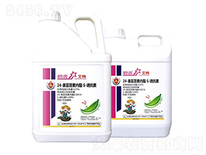 24-���|̦�؃�(n��i)����S-�T����-����-�����