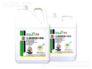 24-���|̦�؃�(n��i)����S-�T����-�G��-������r(n��ng)