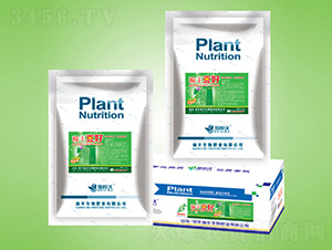 ���b�_ʩ��-����-��S����