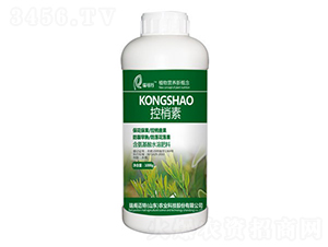 ������-���w�~��