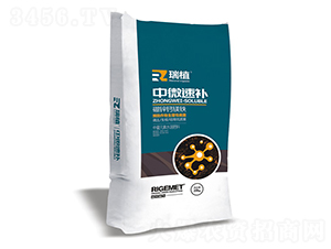 ��΢���a-���\�}�V�F-��ֲ-���w�~�� 