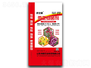 80%΢�������-�o(h��)֮��-���u(y��)�r(n��ng)�I(y��)