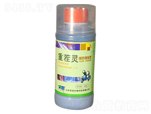 �ز��`-���d����