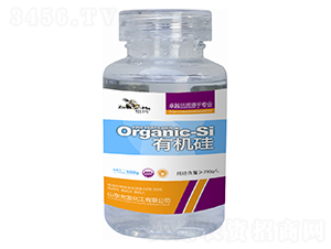 �ЙC(j��)��-�欔-�ʰl(f��)����