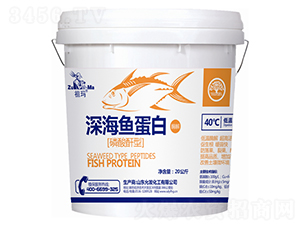 ����������~����-�欔-�ʰl(f��)����