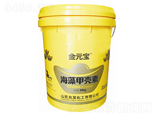 ����ך���-��Ԫ��-�ʰl(f��)����