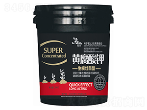 �����������S�����-�欔-�ʰl(f��)����