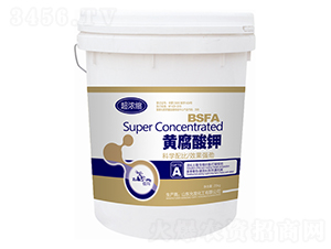 ����s�S�����-�ʰl(f��)����