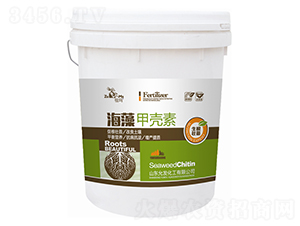 ���������ͺ���ך���-�ʰl(f��)����