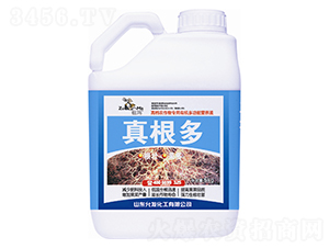 �����-�欔-�ʰl(f��)����