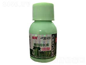 ��ֱ���L��-�欔-�ʰl(f��)����