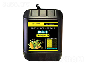 �G���S���̹���ã�-���_����