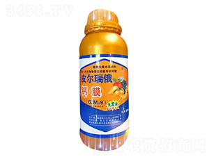 Ƥ������}Ĥ-�G��