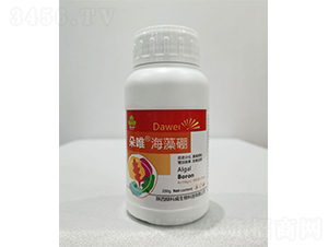 ��Ψ������-�G����