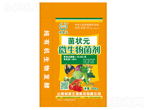 ΢�������-����Ԫ-������-��������