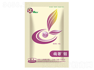 �Ȏ��f-�Ȏ�