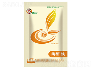 �Ȏ��F-�Ȏ�