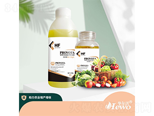 ���w��-����-�A����