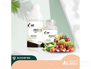 �Ǵ��-����-�A����