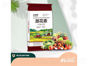 �����أ��t��-��ķ��-�A����