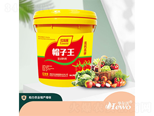 ʥŮ������-��ķِ-�A����